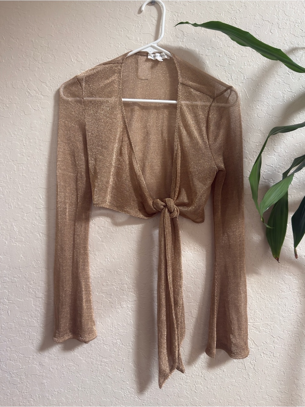 Gold Mesh Tie-Front Top